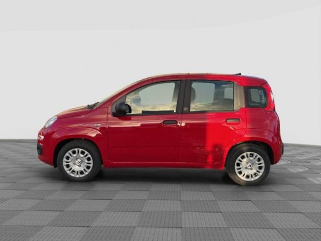 FIAT Pandina Pandina 1.0 FireFly 65 CV Hybrid Icon rif. 24122144 - Foto 2
