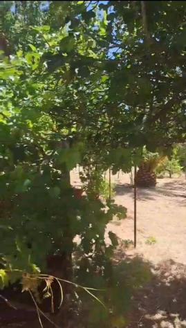 Terreno in vendita a Rosolini - Foto 8