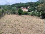 Frutteto in vendita a Vado Ligure