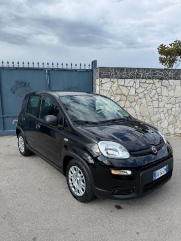 Fiat Panda 1.0 FireFly S&S Hybrid Pandina - Foto 3