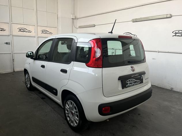 FIAT Panda Panda 1.0 hybrid Easy s&s 70cv - Foto 4