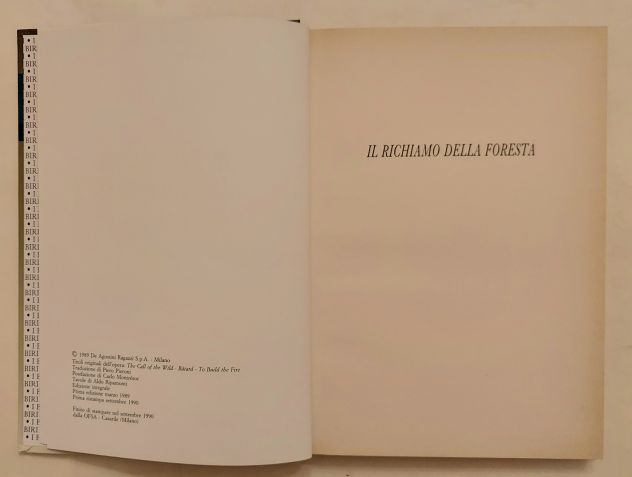 Il richiamo della foresta di Jack London Ed.De Agostini Ragazzi, settembre 1990 - Foto 7