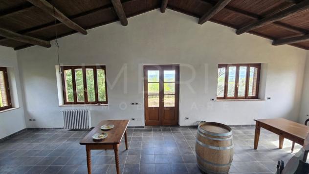 Casale in vendita a Ficulle - Foto 6