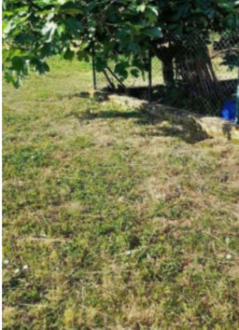 Immobile in asta di 1 m² in vendita a Reggello - Foto 5