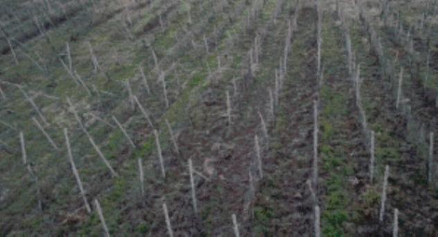 Immobile in asta di 16 m² in vendita a Rovescala - Foto 9