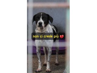 JUVE 3 ANNI