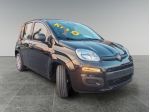 FIAT Panda 1.0 FireFly 70cv S&S Hybrid