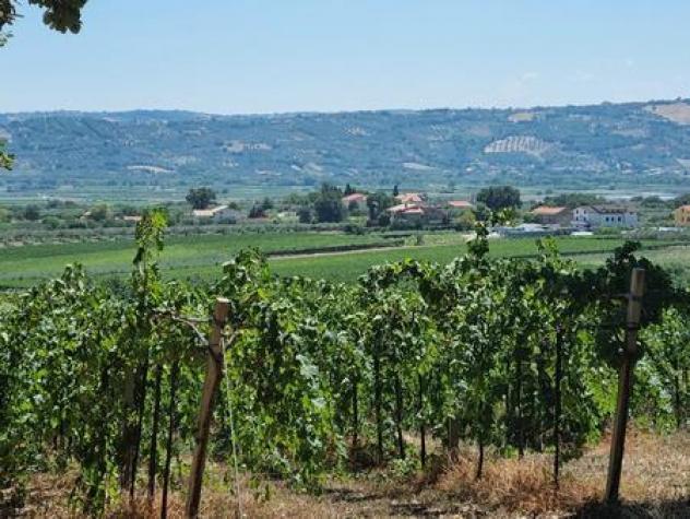 Seminativo in vendita a Santa Maria Imbaro - Foto 6