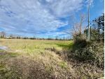 Spinea area agricola
