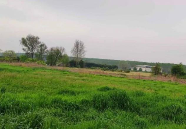Immobile in asta di 7027 m² in vendita a Vellezzo Bellini - Foto 8