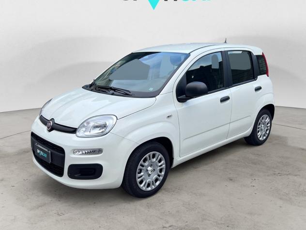 FIAT Pandina 1.0 65cv Hybrid ICON