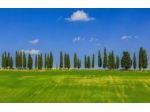 Villa di oltre 1.000 mq. composta da n.34 vani parco di circa mq.22.000,00