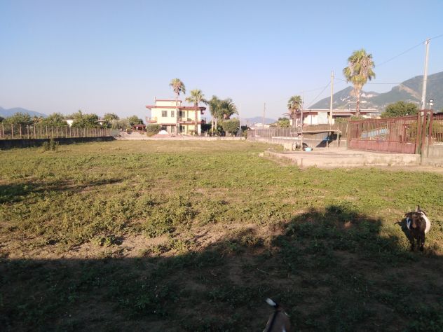 Terreno agricolo - Foto 4