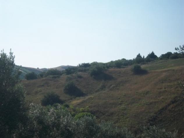 Uliveto in vendita a Lanciano - Foto 15