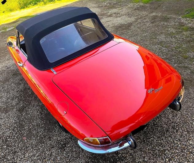 Alfa Romeo Spider 1600 OSSO DI SEPPIA - Foto 4