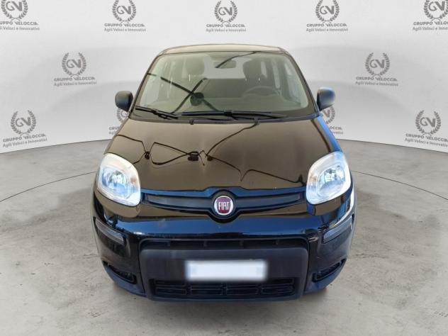 FIAT Panda 1.0 FireFly 70cv S&S Hybrid - Foto 3
