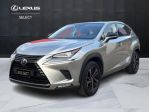 Lexus NX I 2018 300h 2.5 Premium 4wd cvt