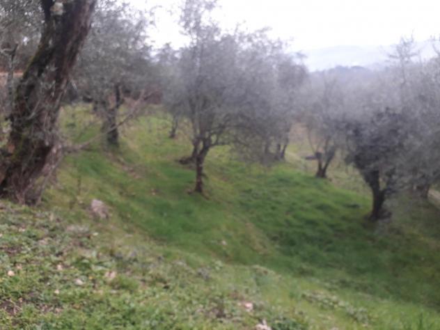 Casa singola in vendita a Fivizzano 105 mq Rif: 874219 - Foto 6