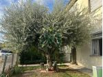 Casa libera su tre lati con giardino