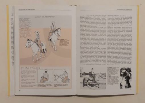 Manuale di equitazione di Sally Gordon Editore: De Agostini, 1987 perfetto - Foto 8