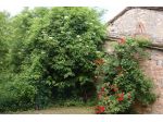 Casale in pietra da ristrutturare con terreno