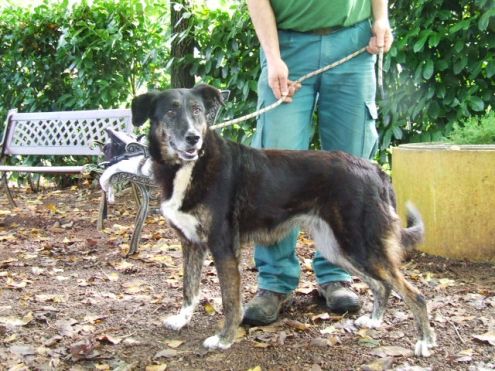 NINFA, bella e socievole - Foto 2