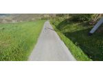 Immobile in asta di 198 m² in vendita a Avolasca