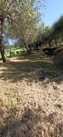 Terratetto in affitto a Colle di Compito - Capannori 100 mq Rif: 1421440 - Foto 2