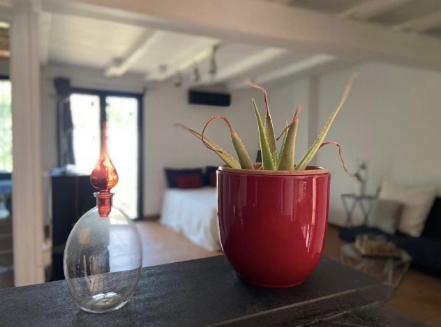 CASAL PALOCCO MONOLOCALE LOFT ARREDATO CON GIARDINO PRIVATO