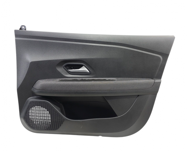 PANNELLO ANTERIORE DESTRO DACIA Sandero Serie 809001349R (21)