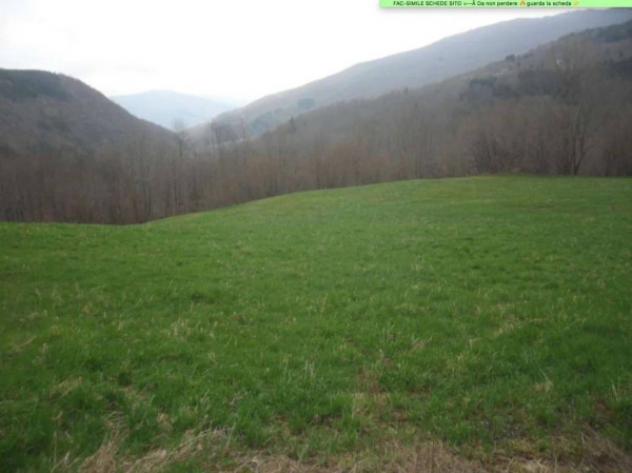 Immobile in asta di 9468 m² in vendita a Pievepelago - Foto 3