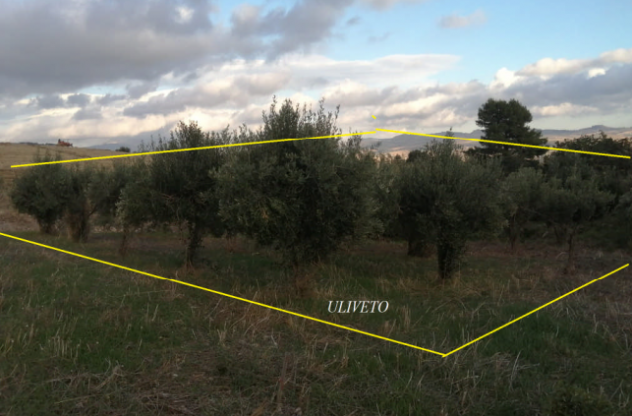 R.G.E. 87/2024 Trapani