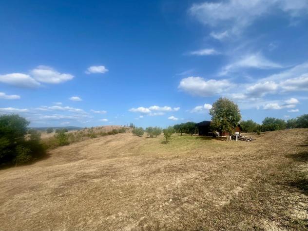 Annesso agricolo in vendita a Asciano 40 mq Rif: 1431968 - Foto 6