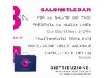 SalonStyleBarber