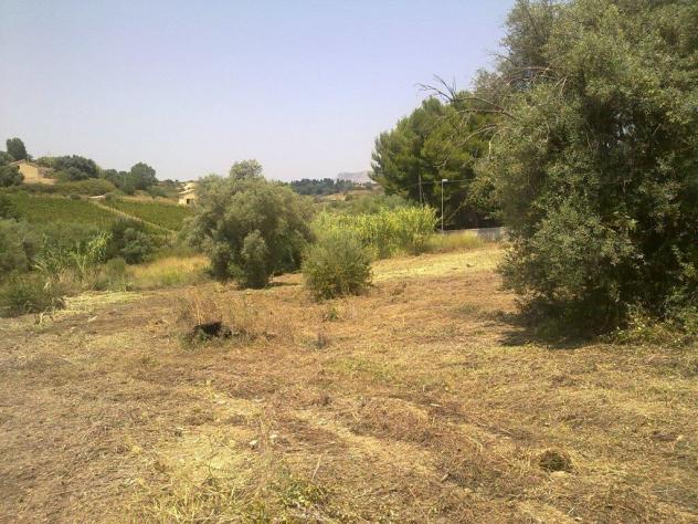 Seminativo in vendita a Siracusa - Foto 6