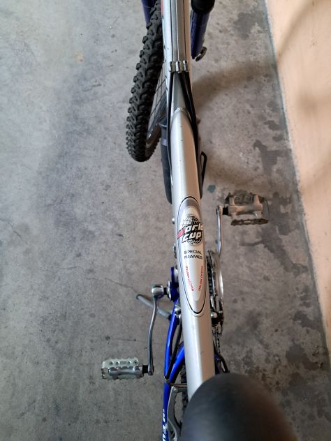 Bicicletta World Cup per ragazzo - Foto 9