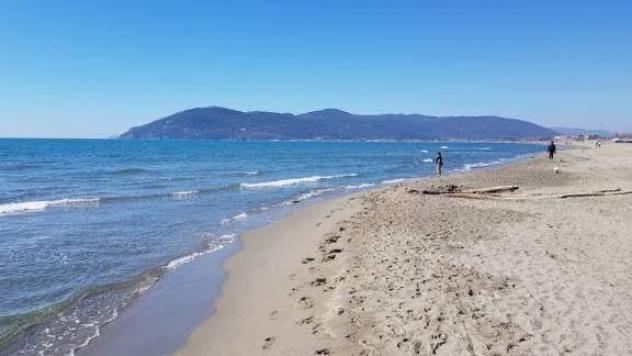 Appartamento in vendita a Marina di Carrara - Carrara 69 mq Rif: 1393445 - Foto 4