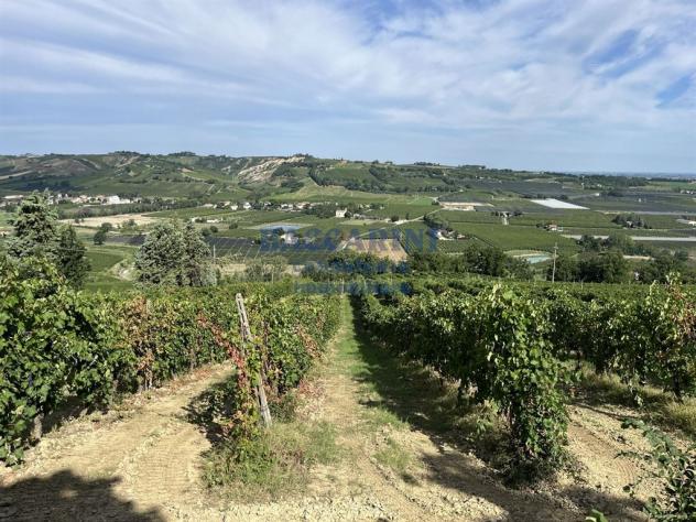PODERE AGRICOLO CON CAPANNONE - BRISIGHELLA - FAENZA - VIA AGELLO E SANDRONA - Foto 7