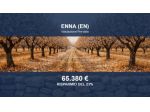 Immobile in asta di 13600 m² in vendita a Enna