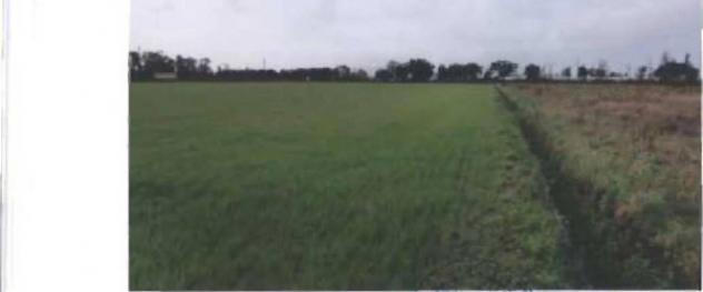 Immobile in asta di 88446 m² in vendita a Terracina - Foto 11