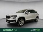 SKODA Karoq 2.0 tdi executive 4x4 150cv dsg rif. 23820183