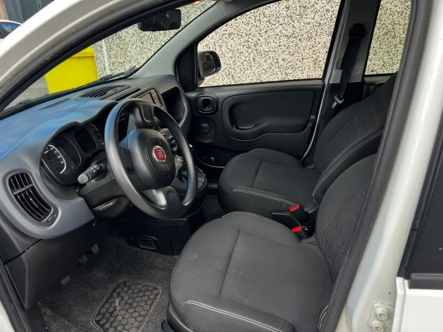 FIAT Panda Panda 1.0 firefly hybrid s&s 70cv 5p.ti - Foto 9