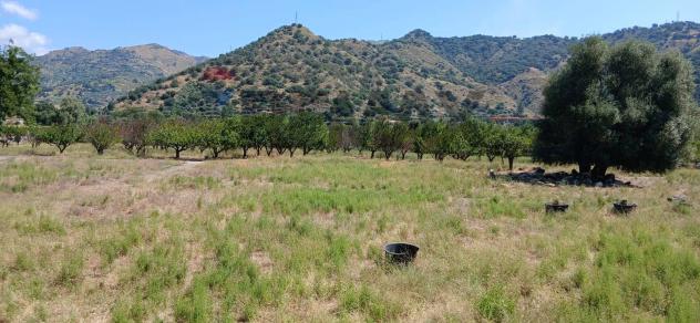 Terreno in vendita a Calatabiano - Foto 4