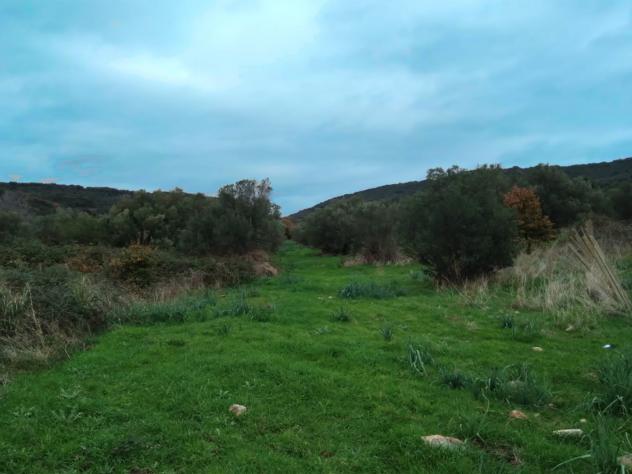 Agricolo in Via Casale dell'Oliveto - Foto 10