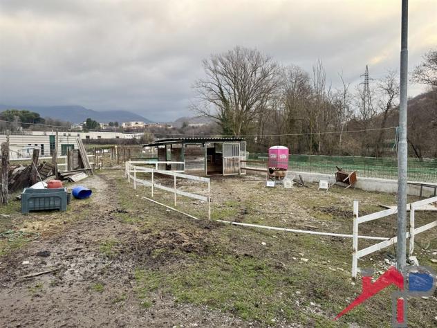 Rustico / Casale 6 locali - Rif. 603 - Foto 14