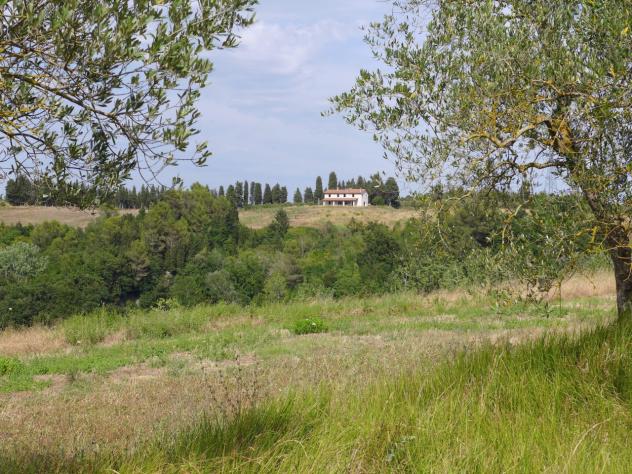 COLONICA di 10 vani e di 400 mq (SAN MINIATO) rif. C 400 - Foto 16
