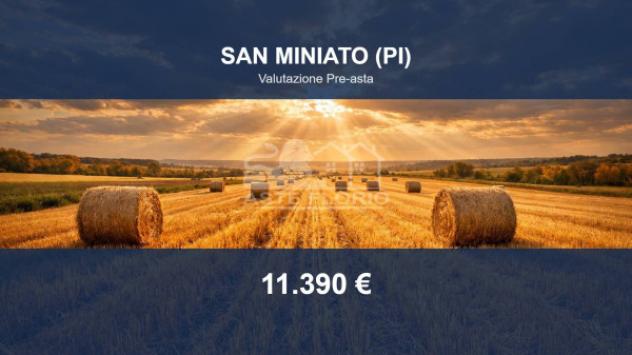 Immobile in asta di 10110 m² in vendita a San Miniato