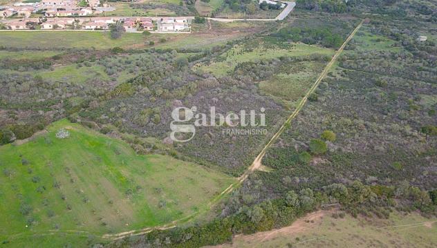 Terreno Agricolo - Budoni . Rif.: Cod. rif 3204979VCG - Foto 4