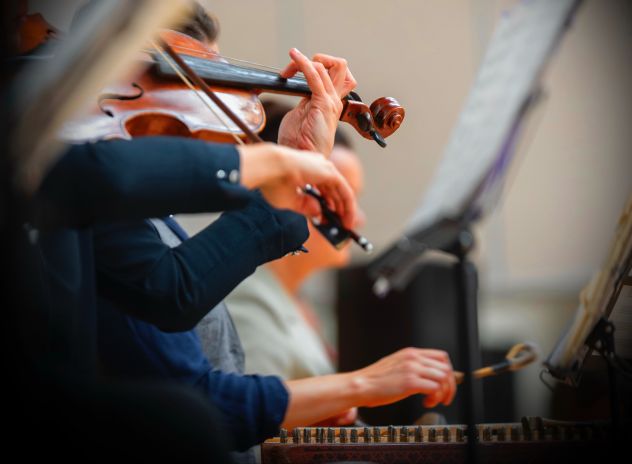 Violinista Venaria Reale