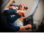 Violinista Venaria Reale